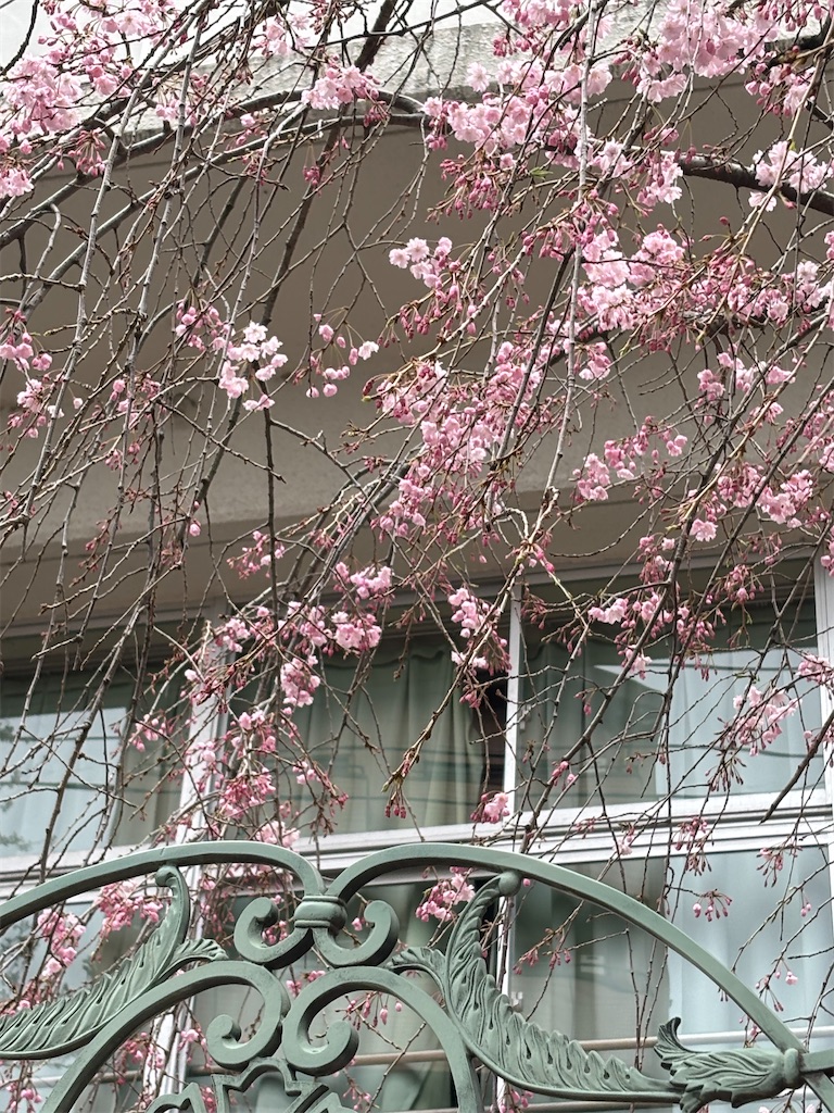 f:id:asakusa5809:20250401131037j:image