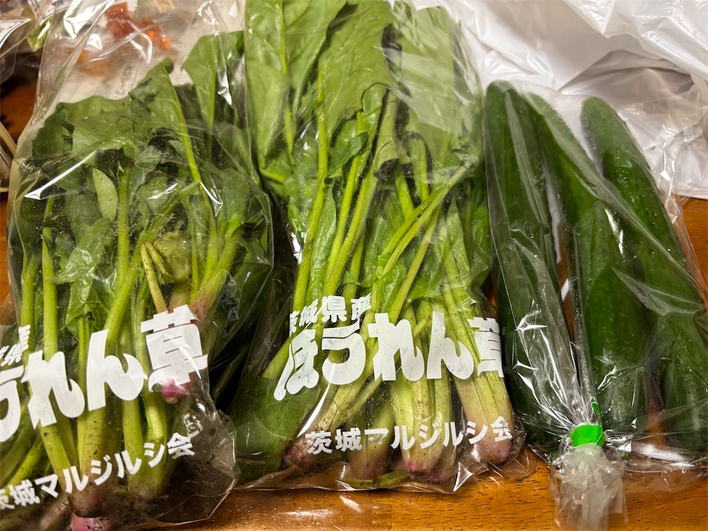 f:id:asakusa5809:20250412195101j:image