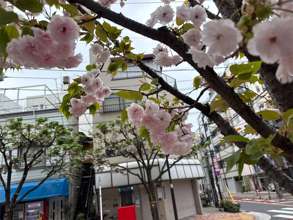 f:id:asakusa5809:20250413152643j:image