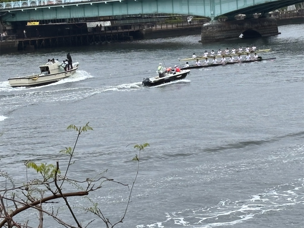 f:id:asakusa5809:20250413153425j:image
