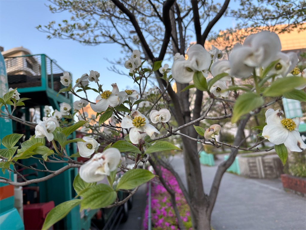 f:id:asakusa5809:20250418140125j:image