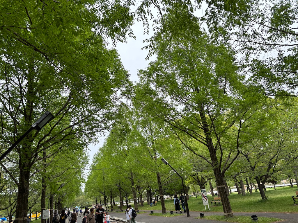 f:id:asakusa5809:20250420164553j:image