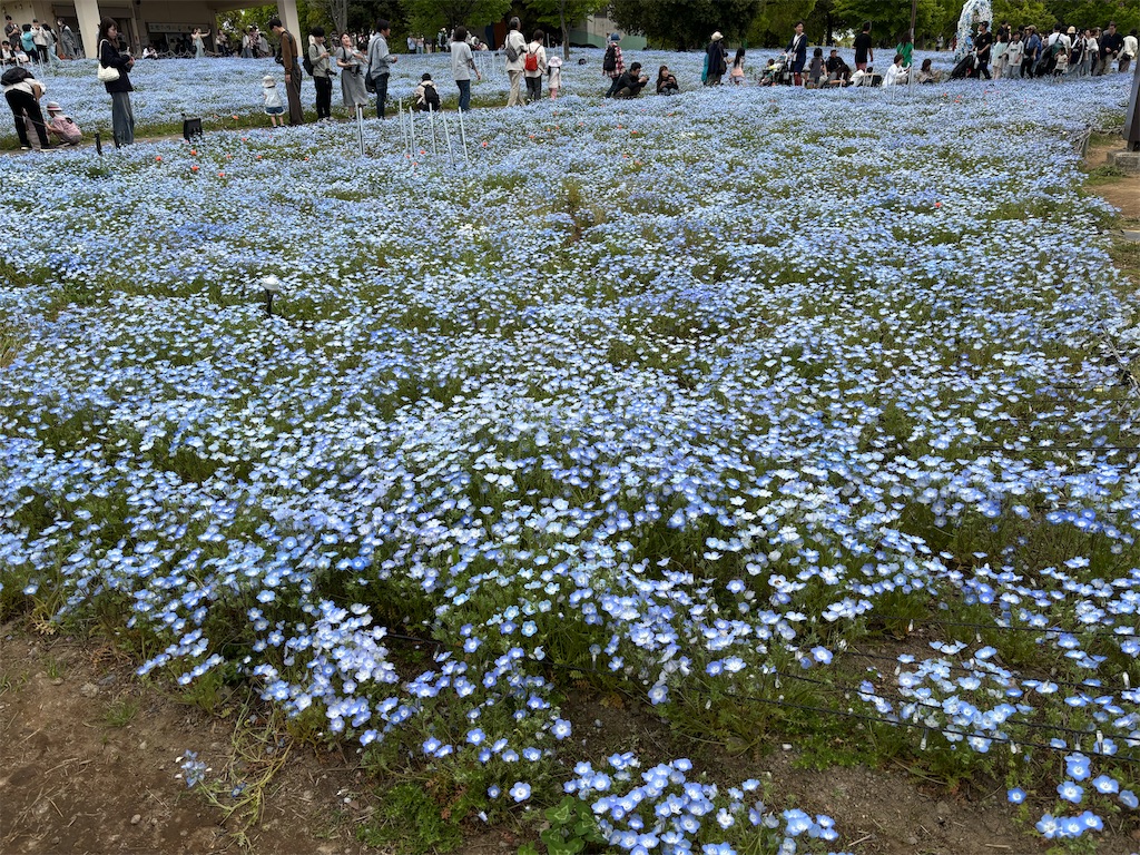 f:id:asakusa5809:20250420164658j:image