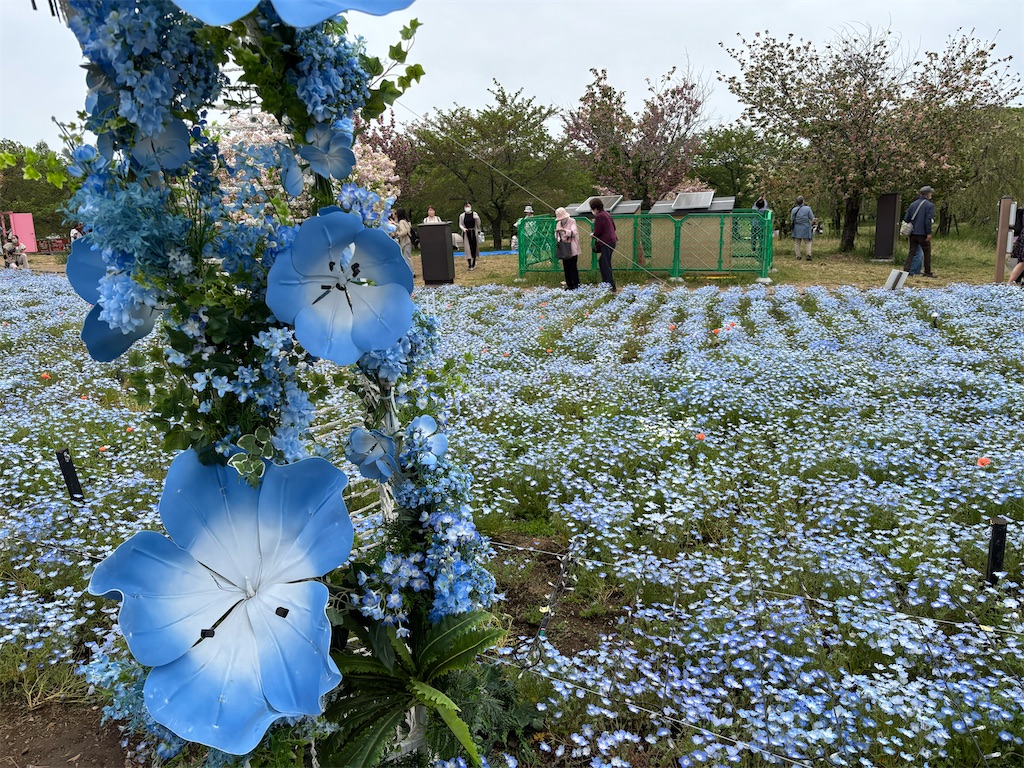 f:id:asakusa5809:20250420164728j:image