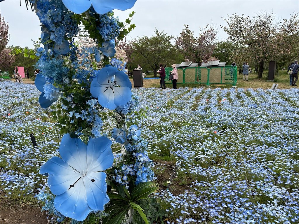 f:id:asakusa5809:20250420164733j:image