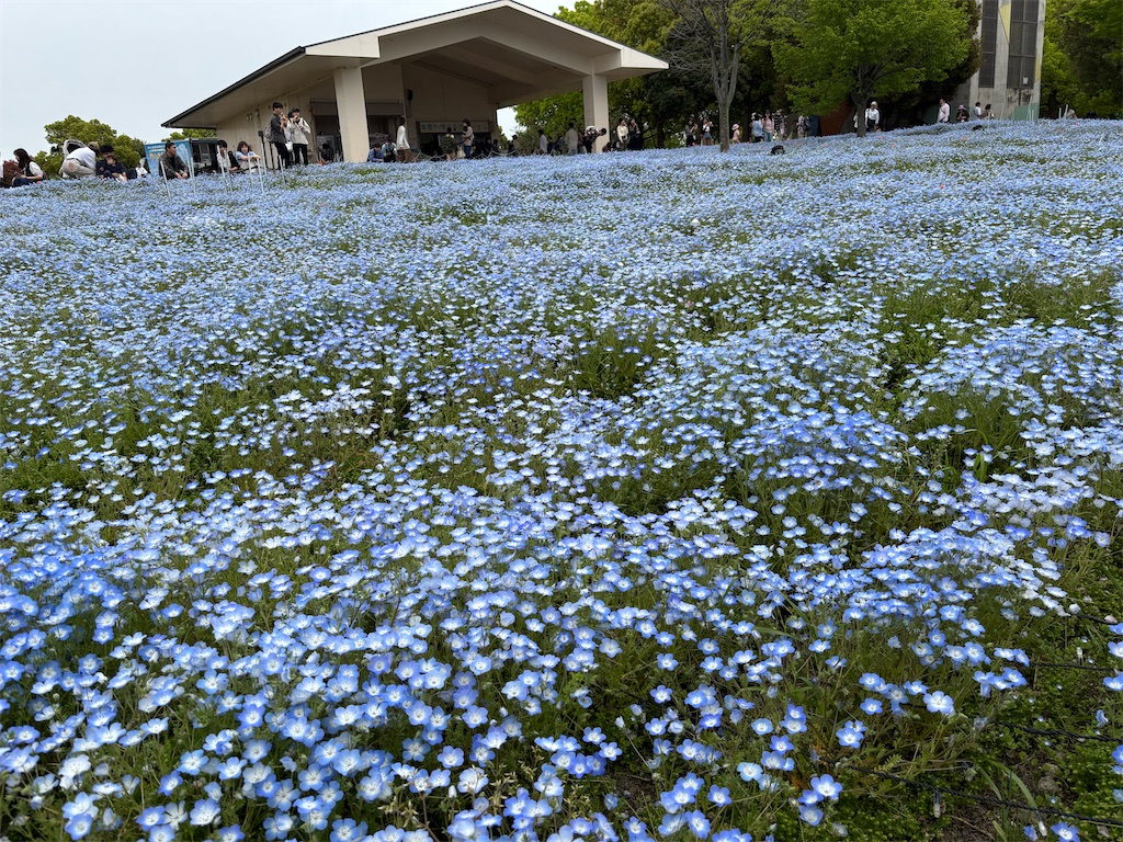 f:id:asakusa5809:20250420164741j:image