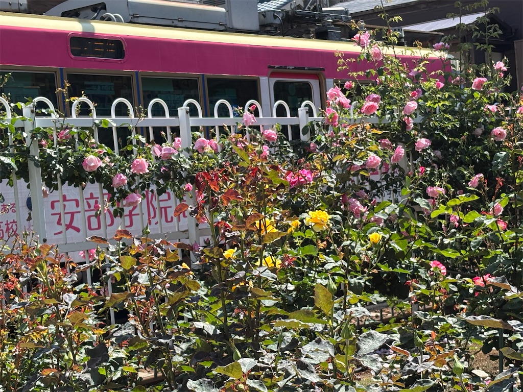 f:id:asakusa5809:20250429141634j:image