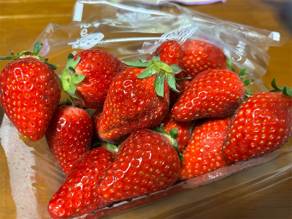 f:id:asakusa5809:20250510211050j:image