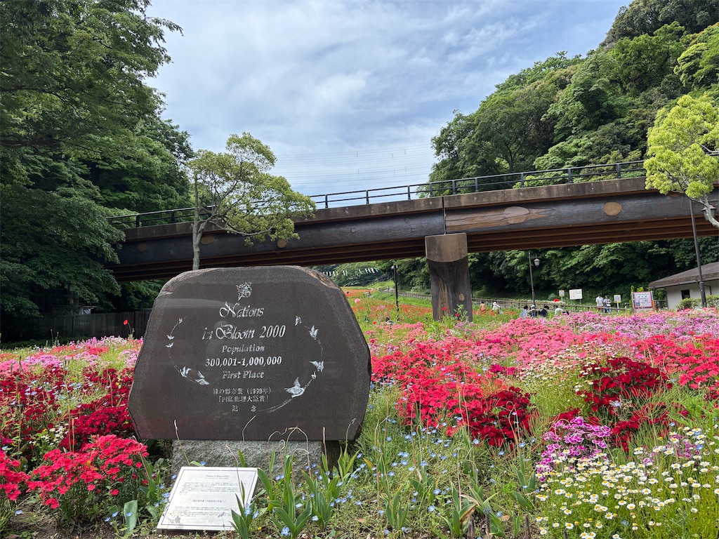 f:id:asakusa5809:20250512073117j:image