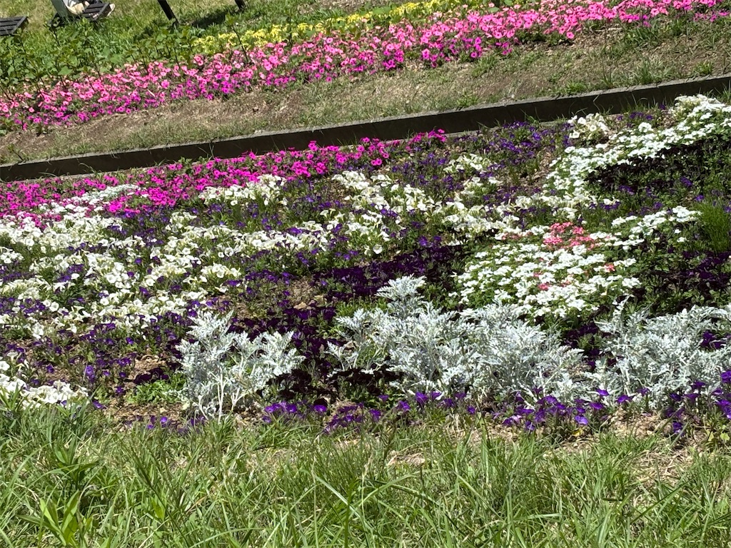 f:id:asakusa5809:20250512073355j:image