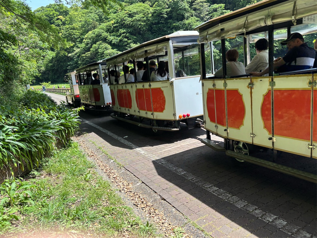 f:id:asakusa5809:20250512073406j:image