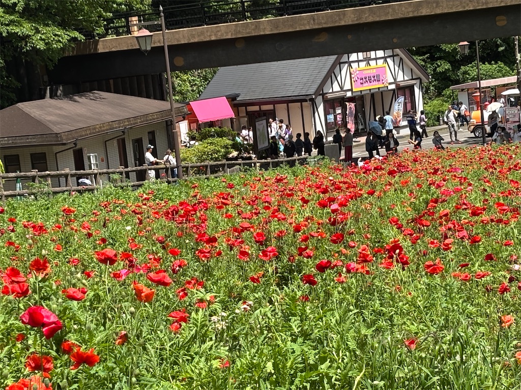 f:id:asakusa5809:20250512073417j:image