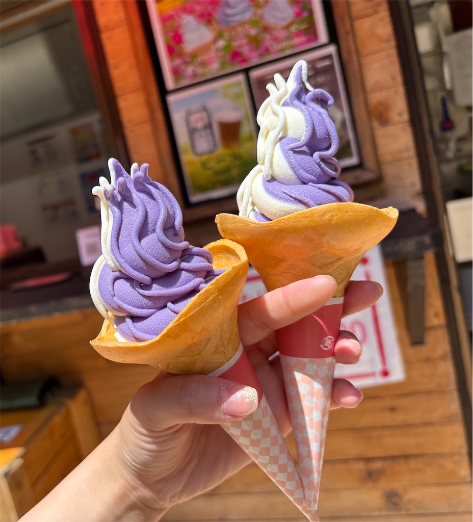 f:id:asakusa5809:20250512073427j:image