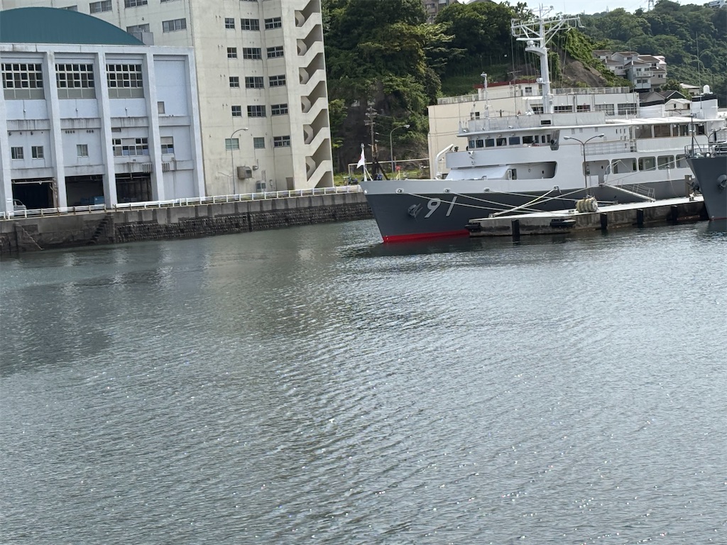 f:id:asakusa5809:20250512153230j:image