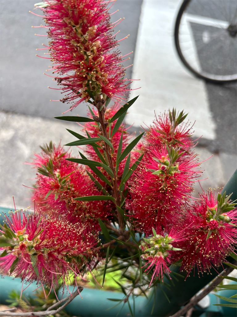 f:id:asakusa5809:20250518191200j:image