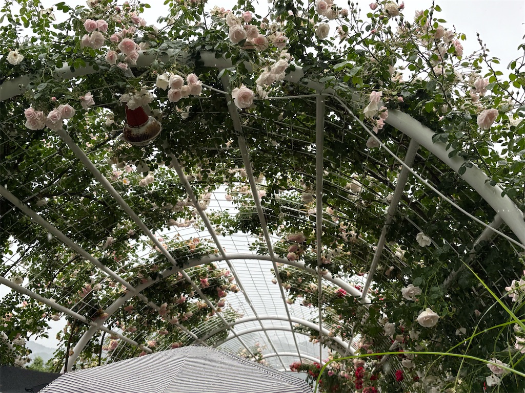f:id:asakusa5809:20250531193029j:image