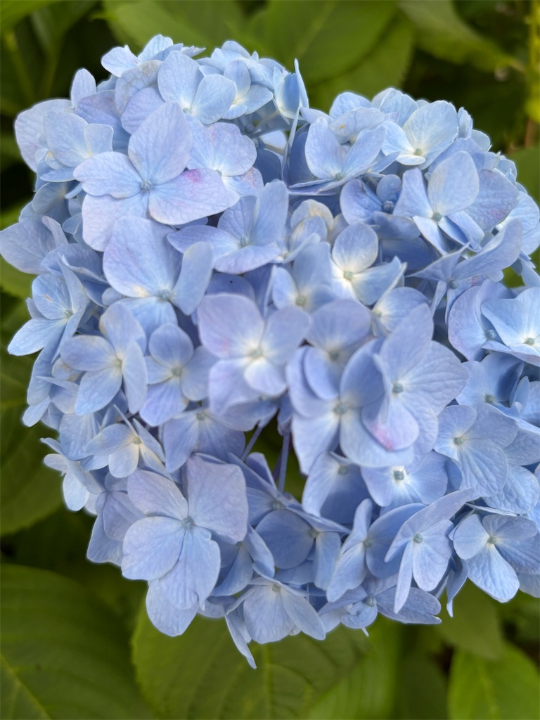 f:id:asakusa5809:20250602092232j:image