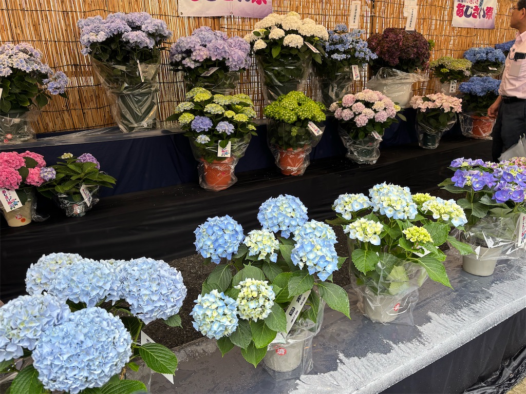 f:id:asakusa5809:20250615212618j:image