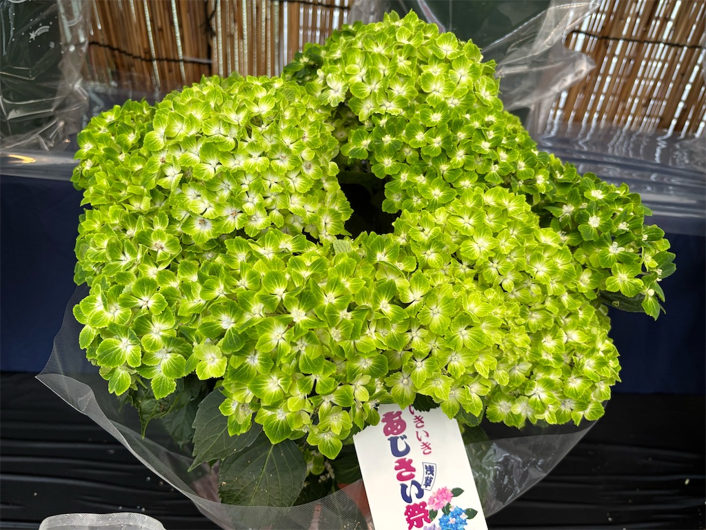 f:id:asakusa5809:20250615212649j:image