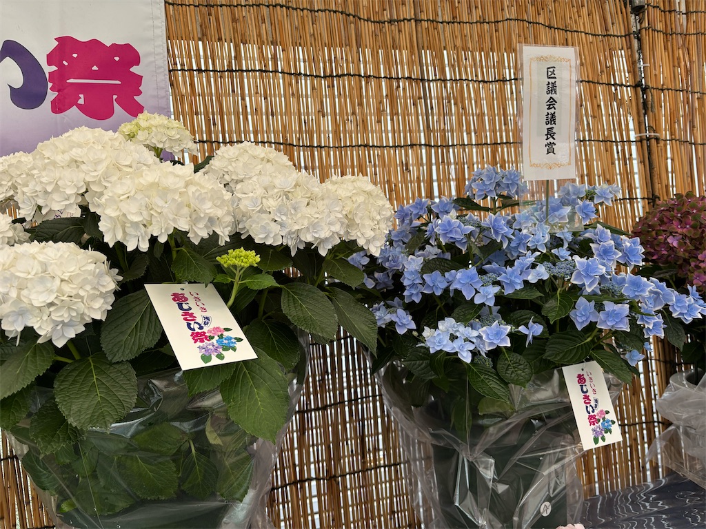 f:id:asakusa5809:20250615212659j:image