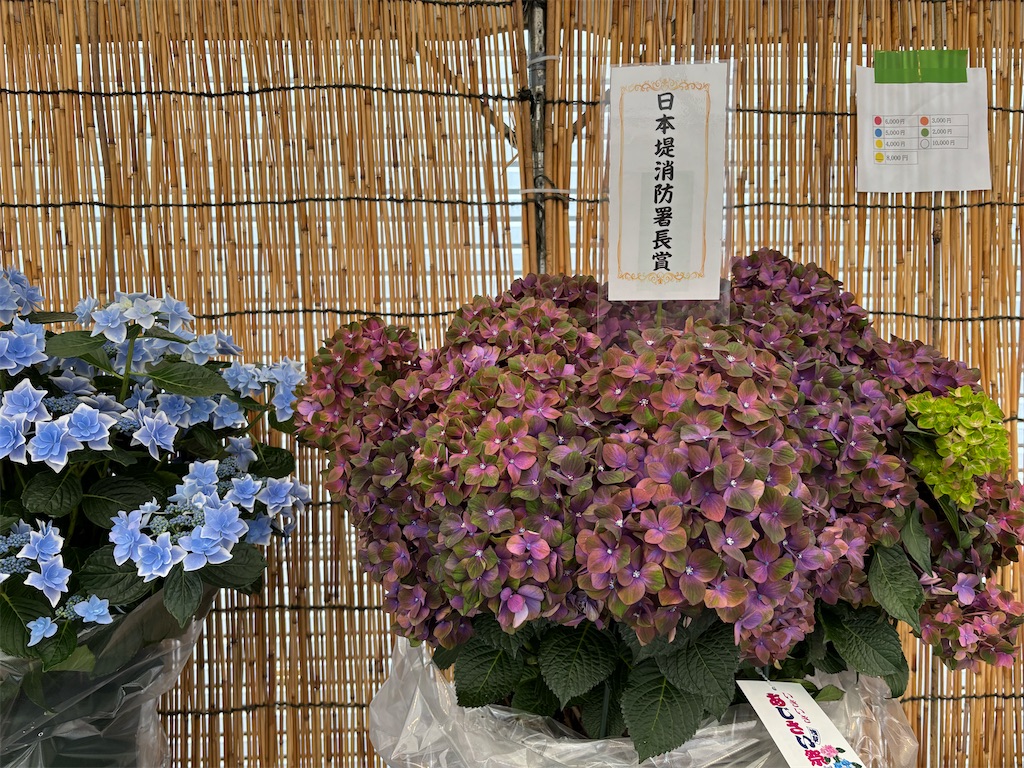 f:id:asakusa5809:20250615212715j:image