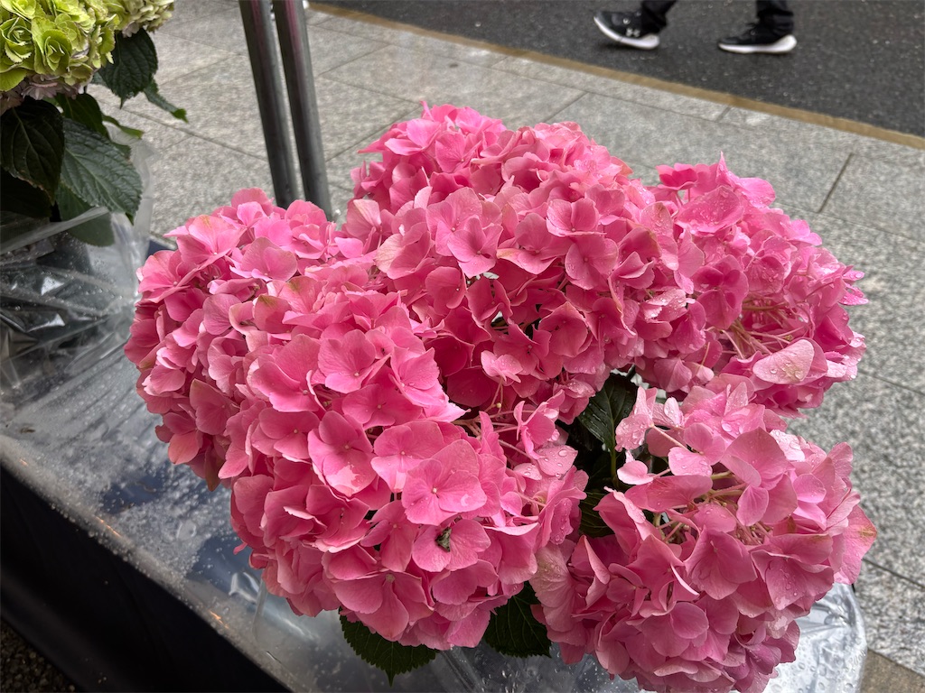 f:id:asakusa5809:20250615212754j:image