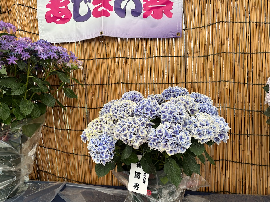 f:id:asakusa5809:20250615212915j:image