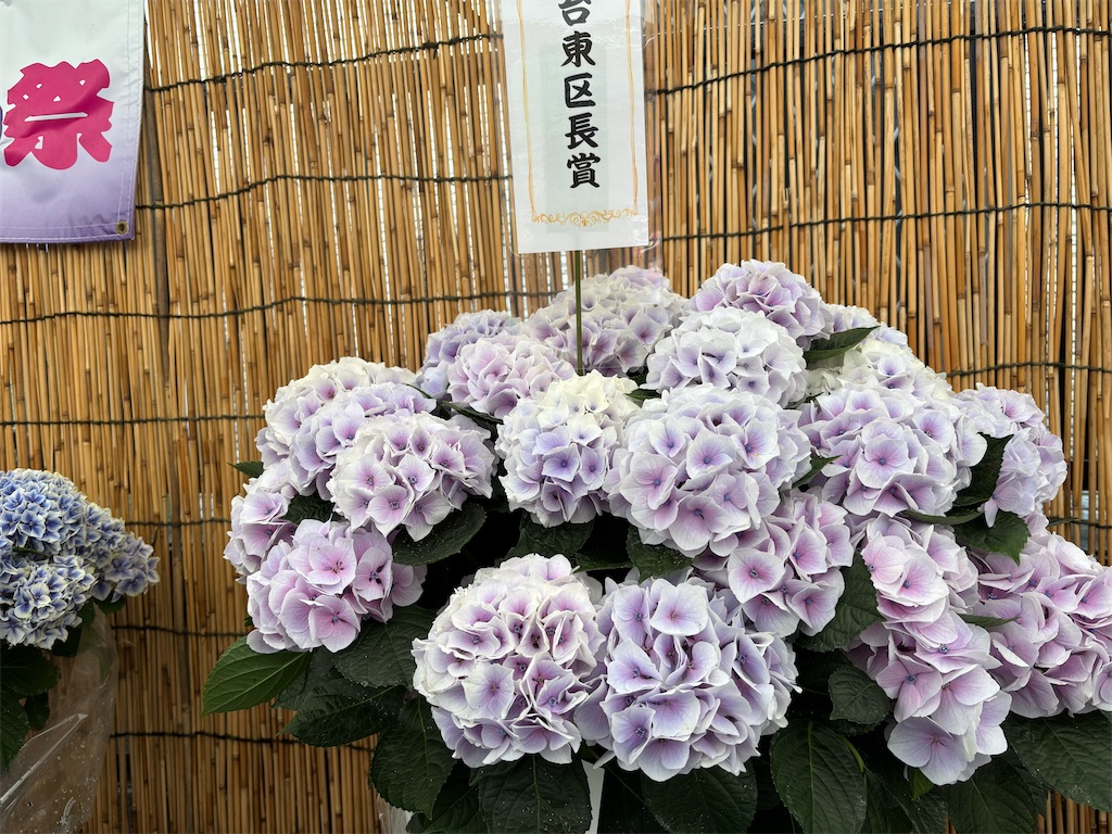 f:id:asakusa5809:20250615212951j:image