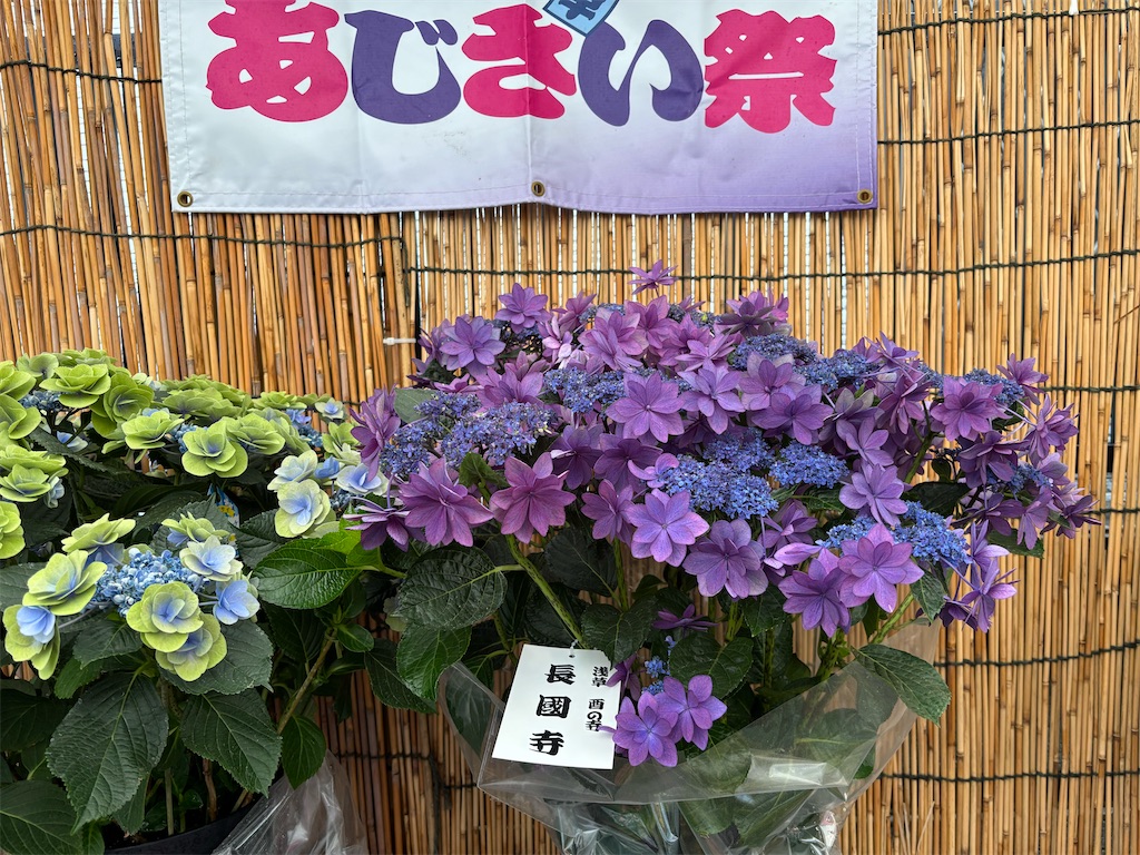 f:id:asakusa5809:20250615212958j:image