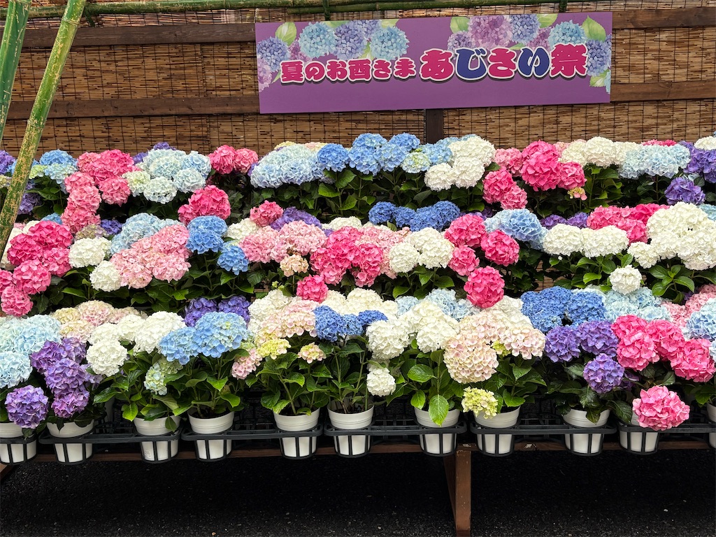 f:id:asakusa5809:20250615213004j:image