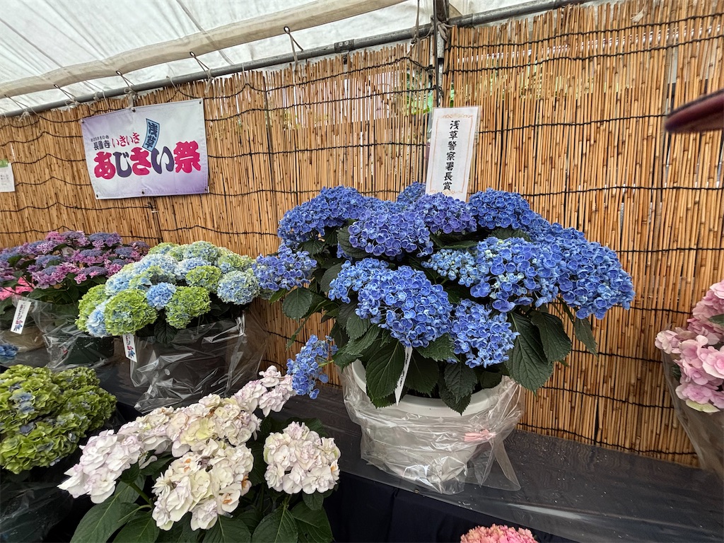 f:id:asakusa5809:20250615213033j:image