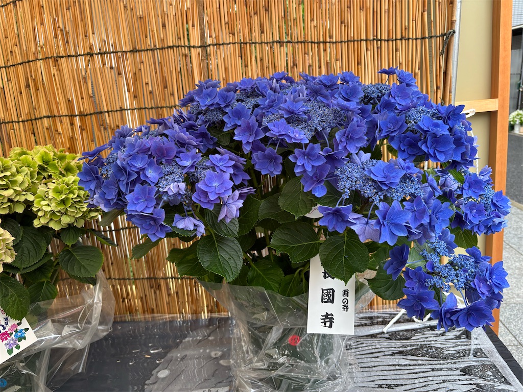 f:id:asakusa5809:20250615213037j:image