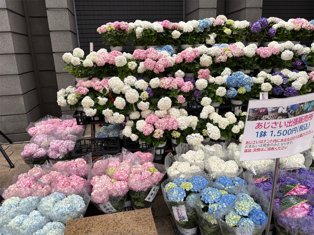 f:id:asakusa5809:20250615213120j:image