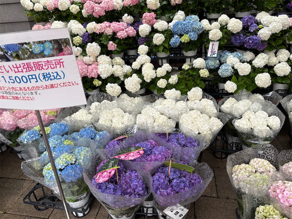 f:id:asakusa5809:20250615213124j:image