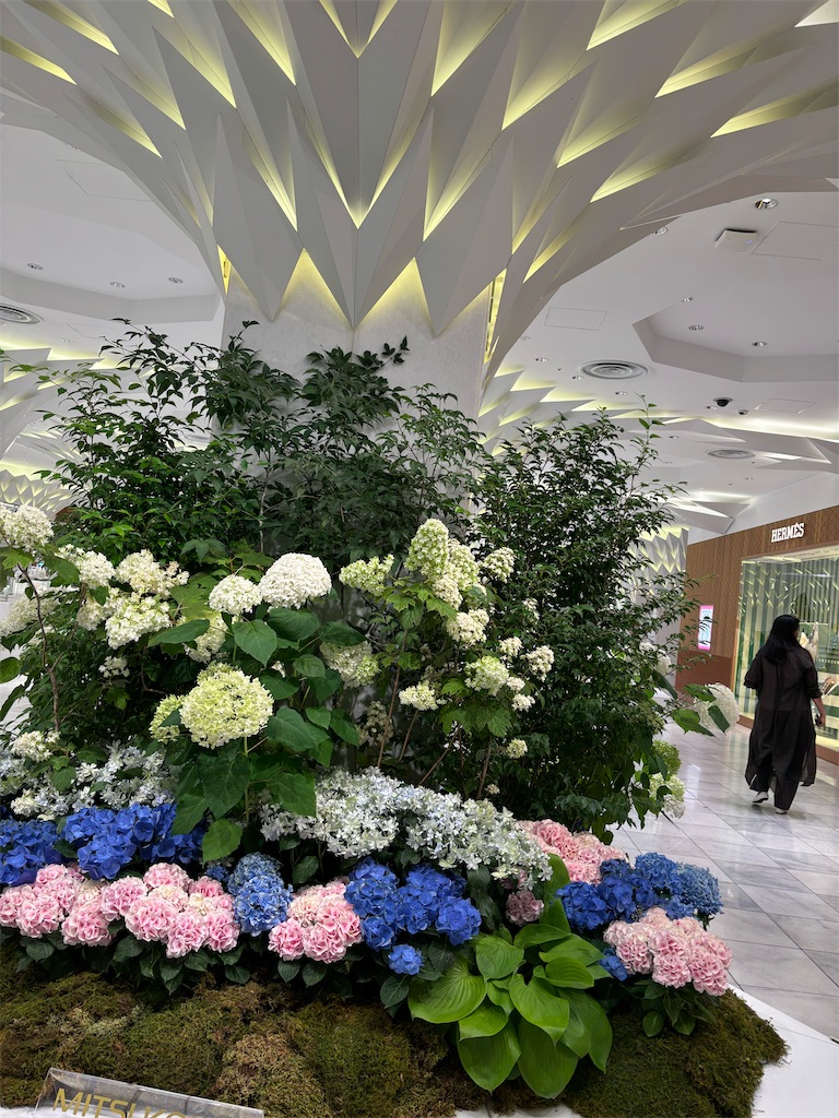 f:id:asakusa5809:20250622144758j:image