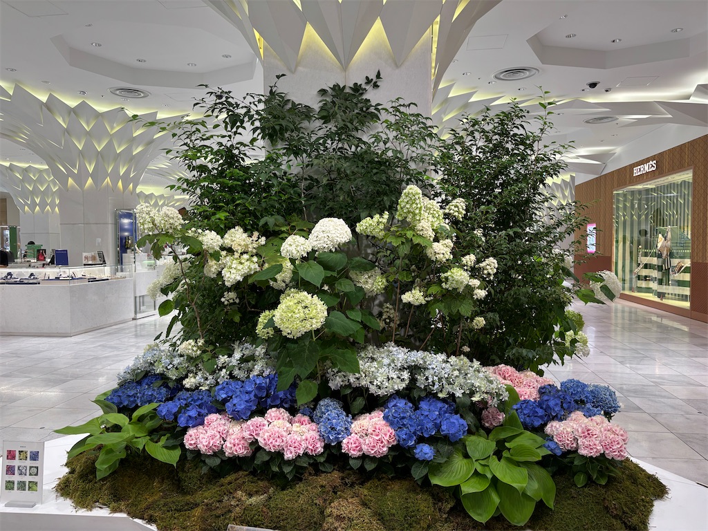 f:id:asakusa5809:20250622144804j:image