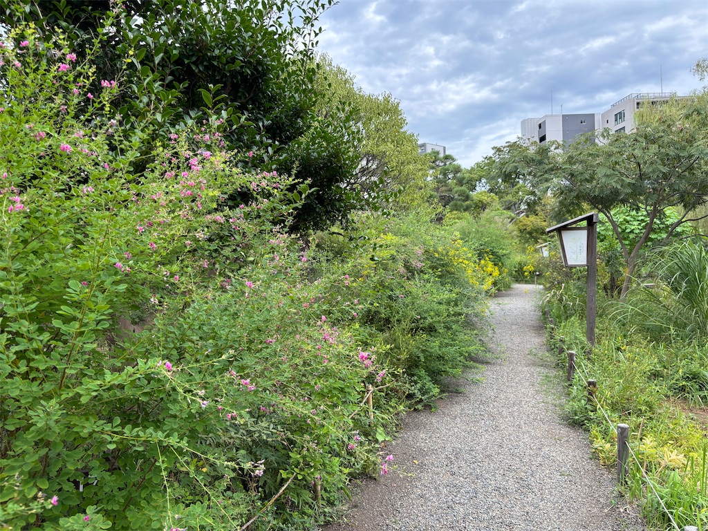 f:id:asakusa5809:20250914164037j:image f:id:asakusa5809:20250914164037j:image