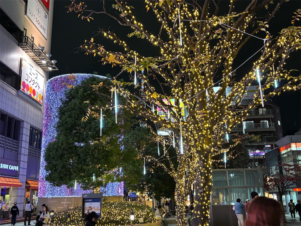 f:id:asakusa5809:20251114204527j:image f:id:asakusa5809:20251114204527j:image