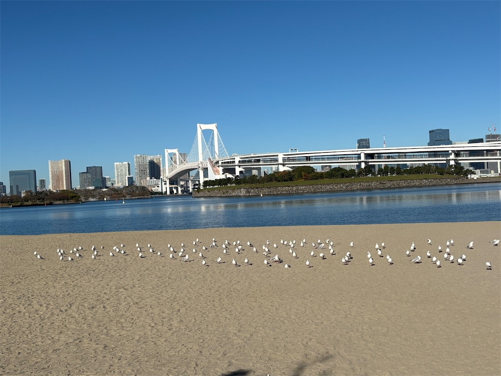 f:id:asakusa5809:20251123080457j:image f:id:asakusa5809:20251123080457j:image
