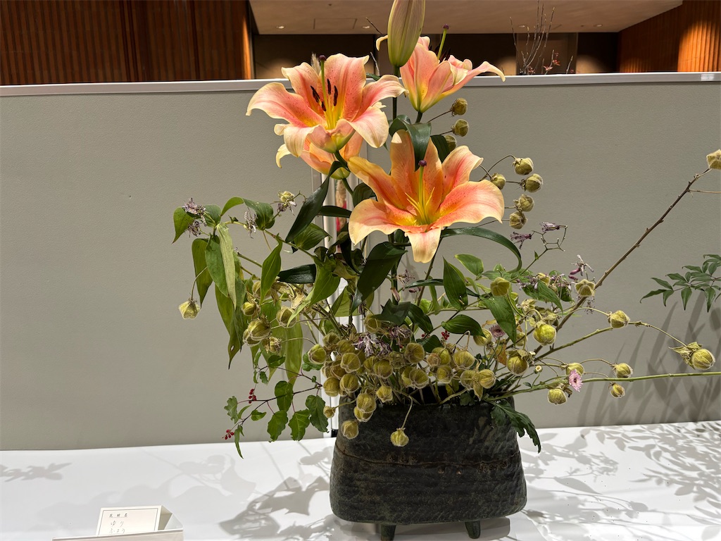 f:id:asakusa5809:20251123194904j:image