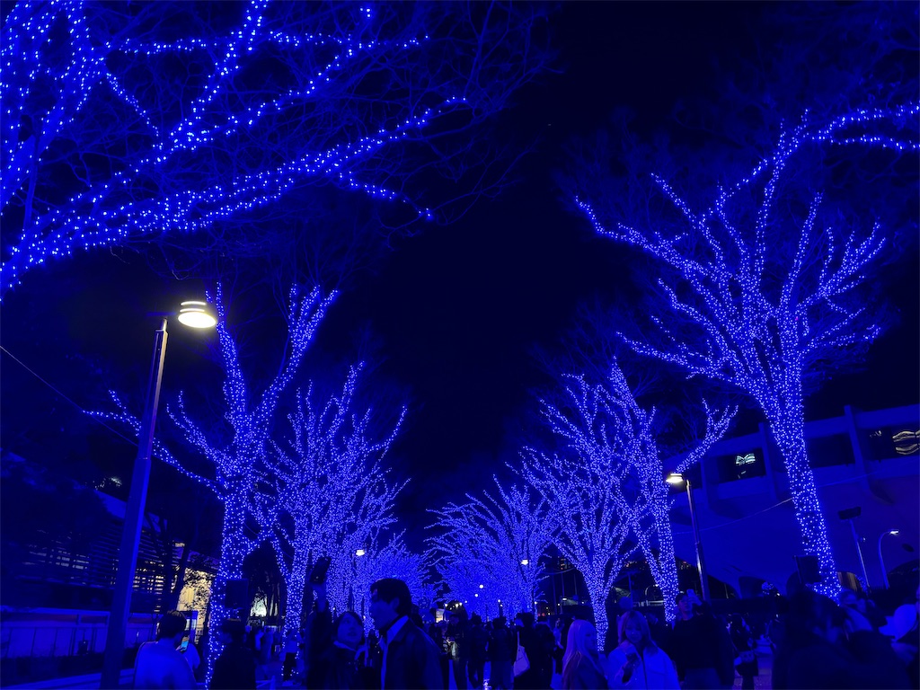 f:id:asakusa5809:20251220053046j:image