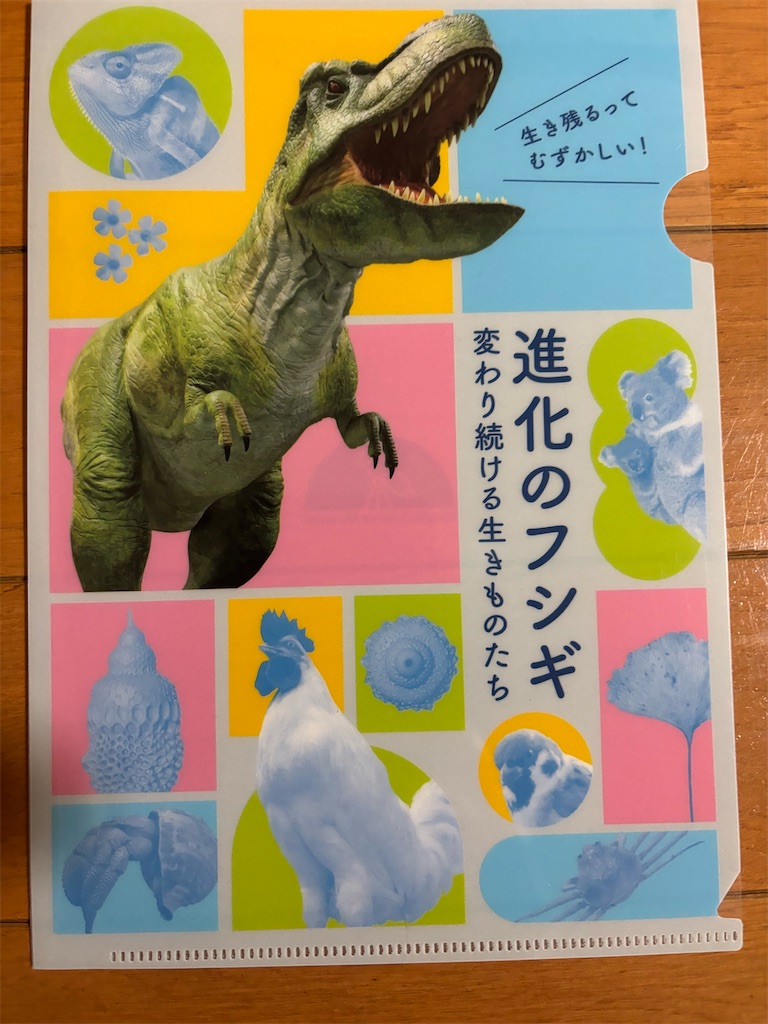 f:id:asakusa5809:20260117220856j:image