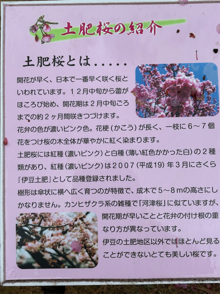 f:id:asakusa5809:20260208082818j:image