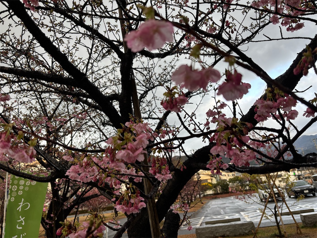f:id:asakusa5809:20260208083000j:image