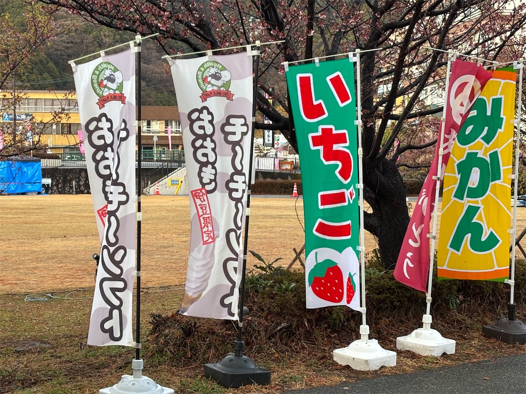 f:id:asakusa5809:20260208083016j:image