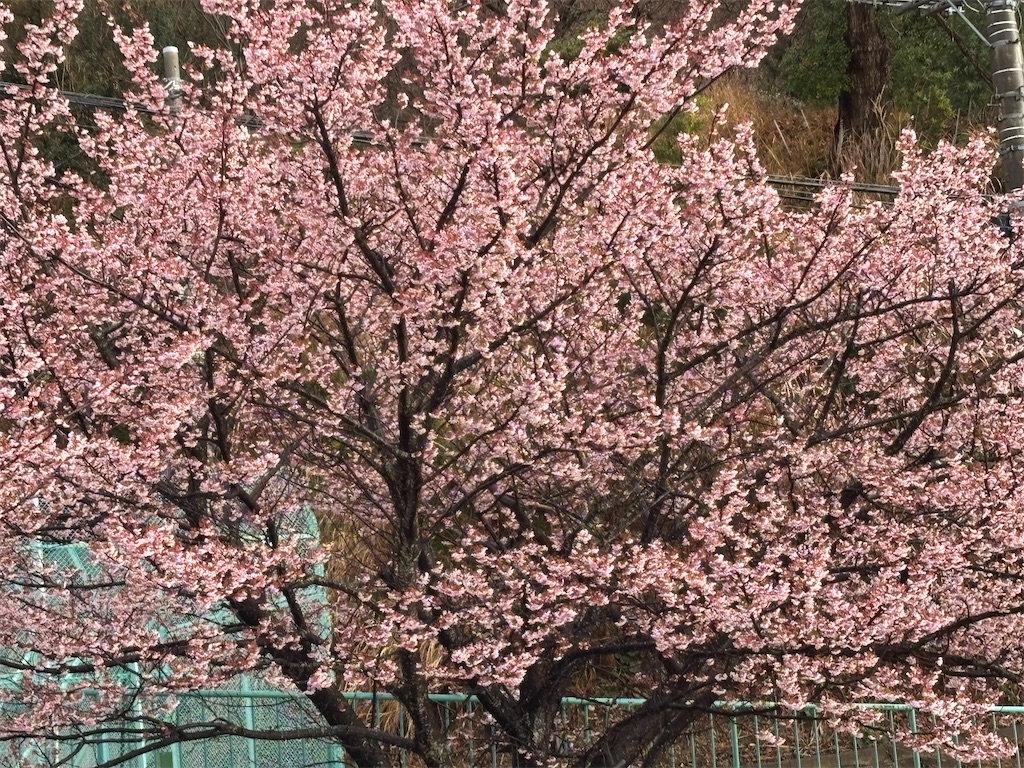 f:id:asakusa5809:20260208083136j:image