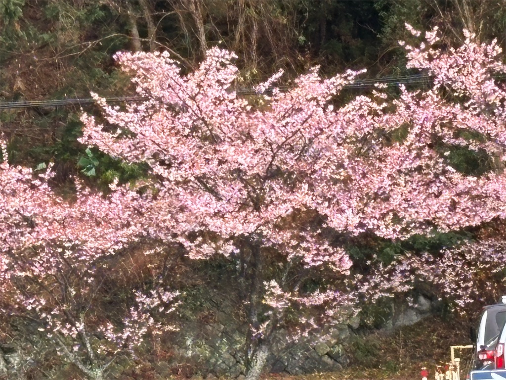 f:id:asakusa5809:20260208083141j:image