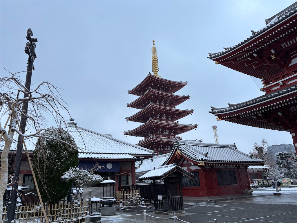 f:id:asakusa5809:20260208083429j:image f:id:asakusa5809:20260208083429j:image