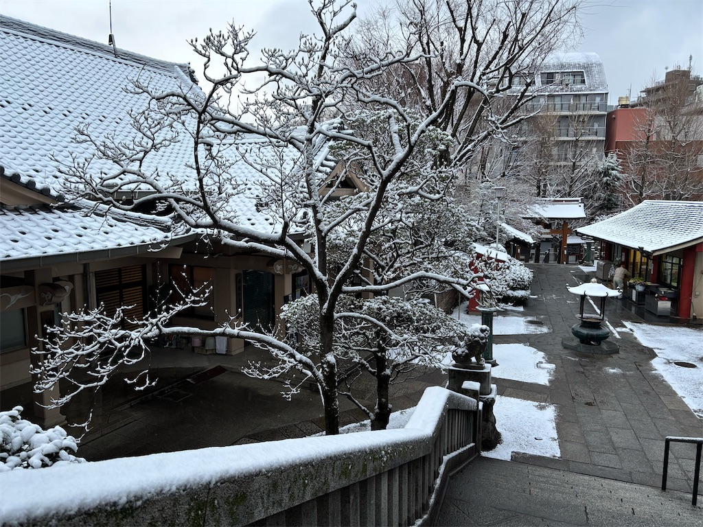 f:id:asakusa5809:20260208083929j:image f:id:asakusa5809:20260208083929j:image