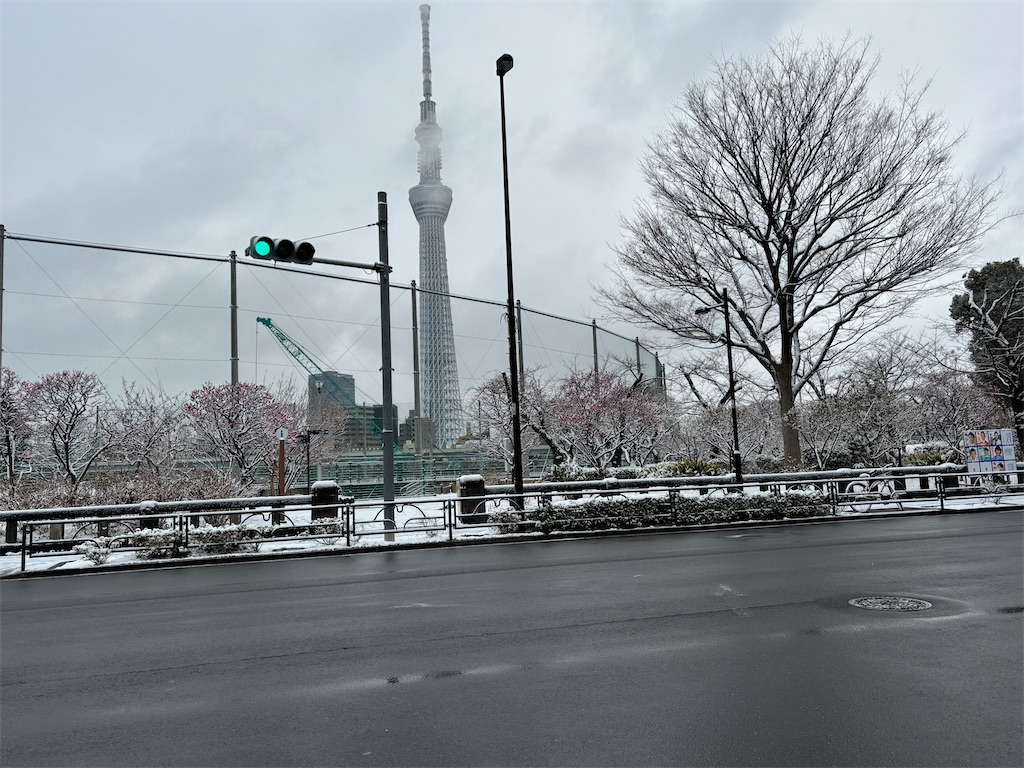 f:id:asakusa5809:20260208083932j:image f:id:asakusa5809:20260208083932j:image